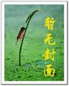 天价婚约免费阅读