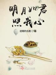 明月为君照