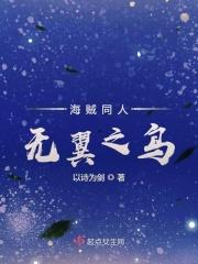 无冀乌海贼王