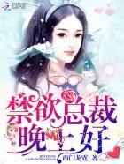傲娇总裁你好全文免费阅读全