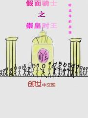 假面骑士崇皇时王全身图