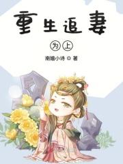 重生追妻手册