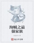 海贼之最强父亲系统