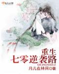 重生七零年逆袭路