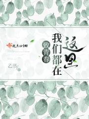 此生有幸相遇全文阅读