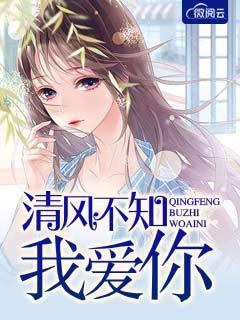 清风不知我爱你 砂糖