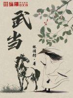 武当山海拔最高多少米