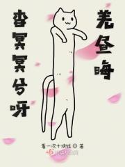 杳冥冥兮羌昼晦怎么读
