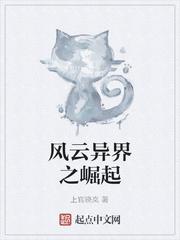 风云崛起全部