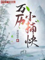 万历小捕快讲的什么