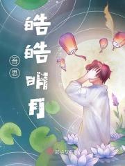 明月皓皓什么意思