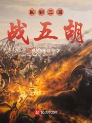 回到三国打天下