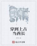 穿越当酋长
