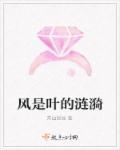 叶子是风的追求还是树的不挽留