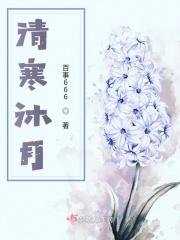 女主叫沐清韵的