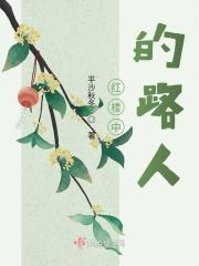 红楼之路人甲