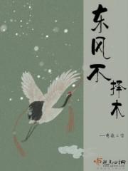 东风不择木吹煦长未已的意思