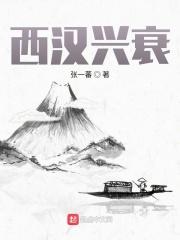 西汉的衰落是什么原因
