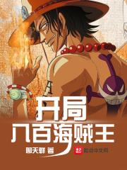 海贼之八百