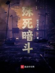 殊死暗斗 秋月春风矣