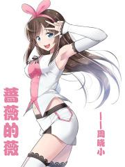 蔷薇的薇拼音