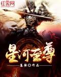 星河至尊境界