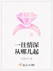 一往情深歌词是哪首歌