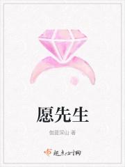 愿望先生幸运盒子里面有什么