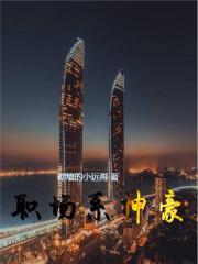 职场高手在线看