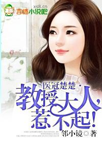 医冠楚楚教授大人惹不起全本