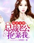 霸道宠婚总裁老公抱紧我 全部章节