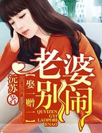 娶一赠一老婆别闹全文免费阅读