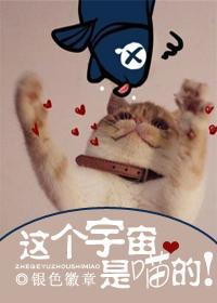 这宇宙这种深情根本虚构