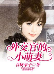 京圈大佬vs女外交官免费阅读