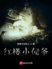 红楼侯爷宠妻日常全文