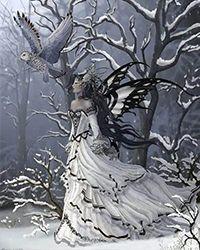 雪落寒梅图片