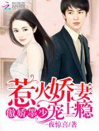墨少小娇妻狠狠宠