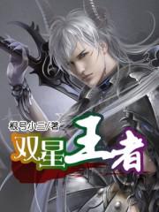 王者荣耀双星之芒成就