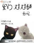 黑白对抗游戏
