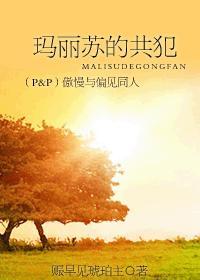 傲慢与偏见之玛丽是修真女