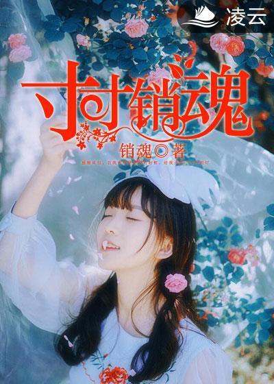 寸寸销魂全本免费