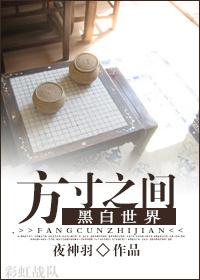 方寸之间pdf