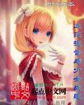 战舰少女提督等级