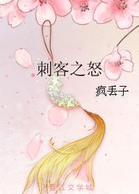 刺客之怒简介