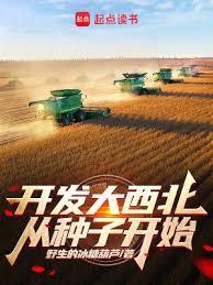开发大西北是哪一年开始的