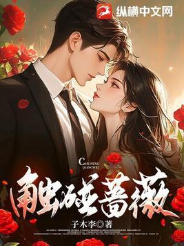 触碰蔷薇笔趣阁全文免费阅读