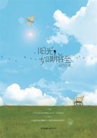 阳光正好未来可期