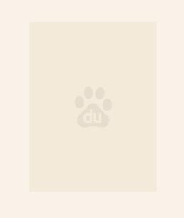 绝世炼丹师夜北