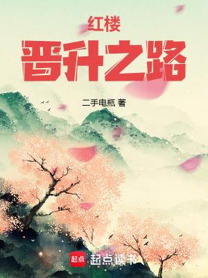 红楼晋升之路TXT