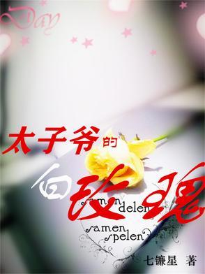 太子爷的白玫瑰TXT全文免费